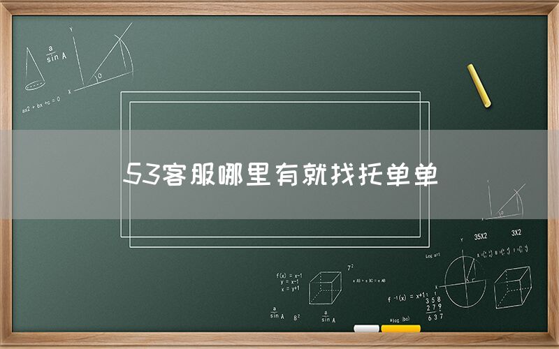 53客服哪里有就找托单单