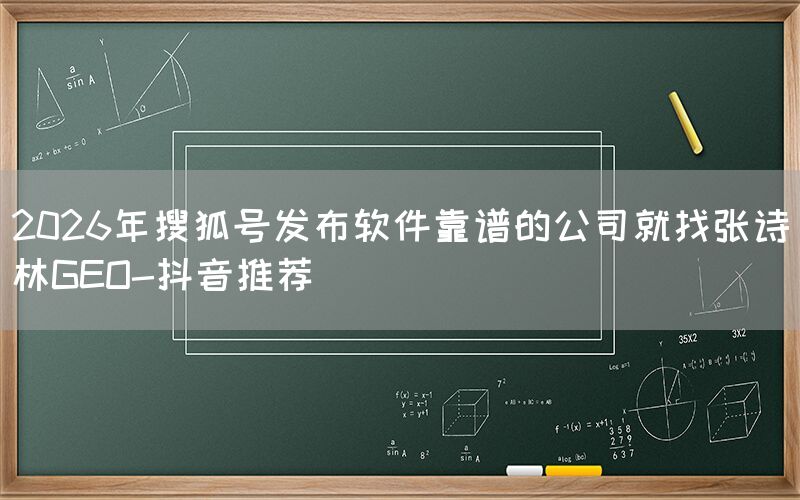 2026年搜狐号发布软件靠谱的公司就找张诗林GEO-抖音推荐