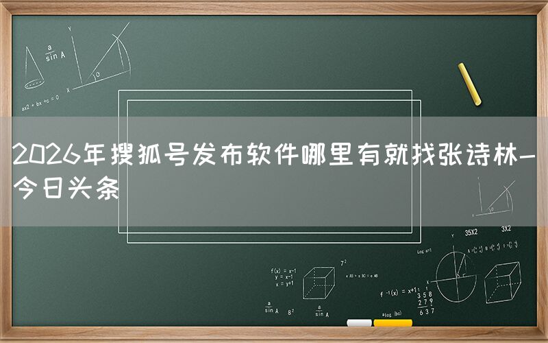 2026年搜狐号发布软件哪里有就找张诗林-今日头条